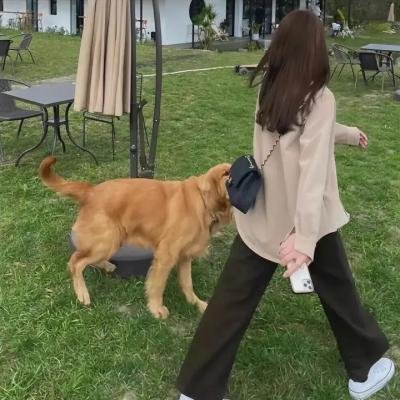 温柔本色
